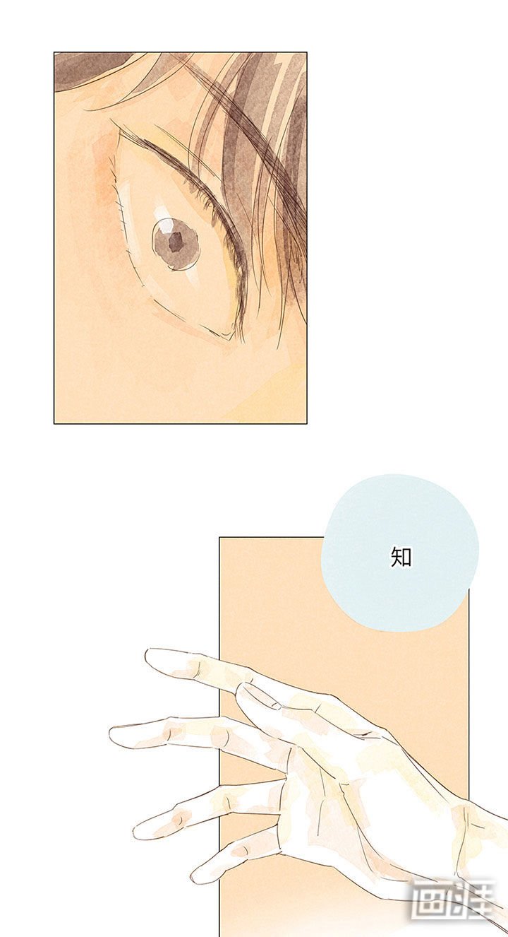 第43章：回忆
