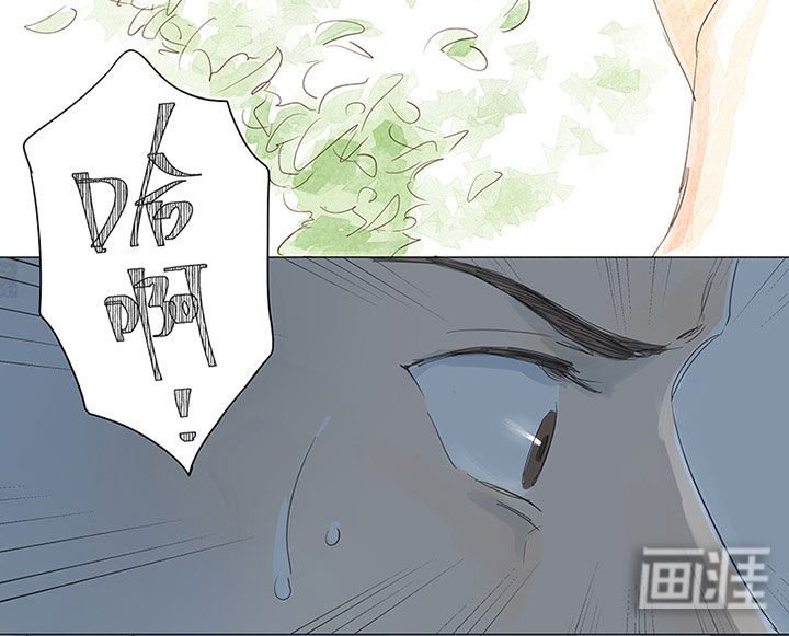 第43章：回忆