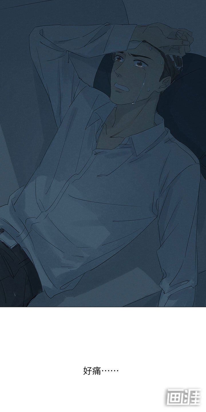 第45章：心疼如刀绞