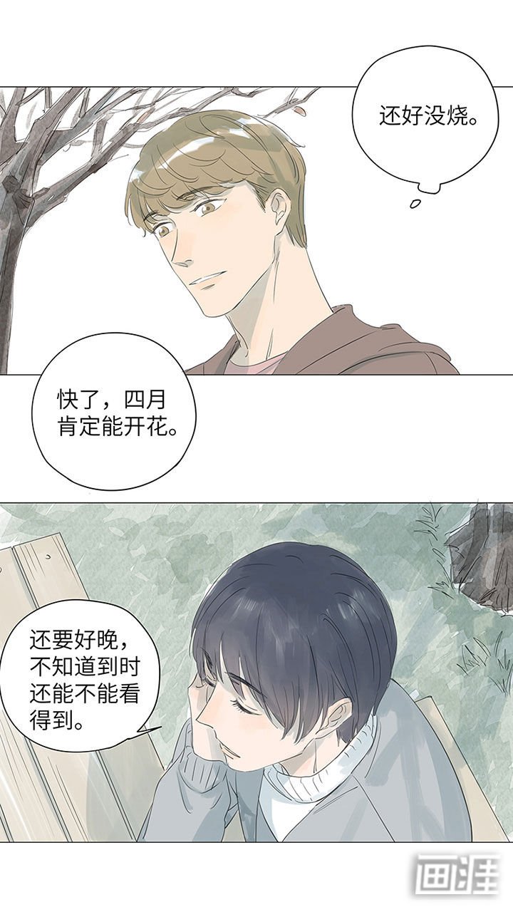 第46章：不太乐观
