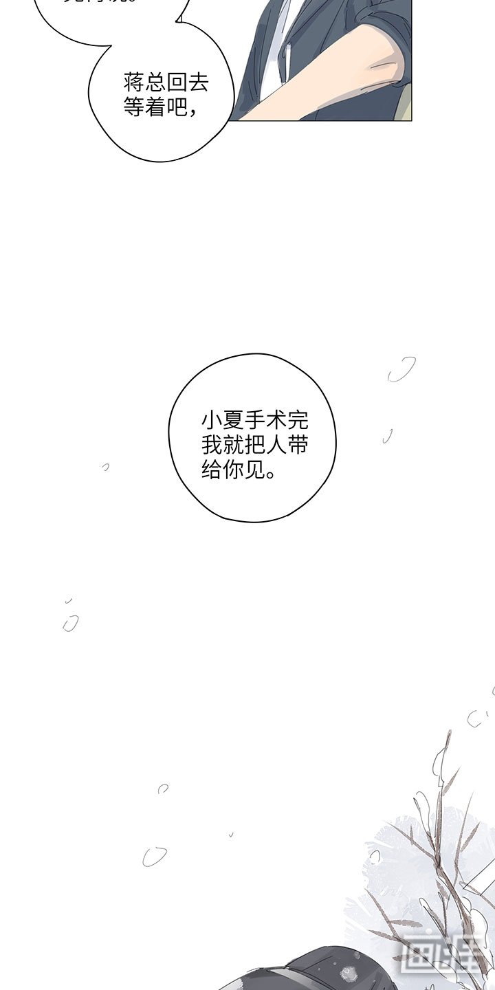 第59章：雪天