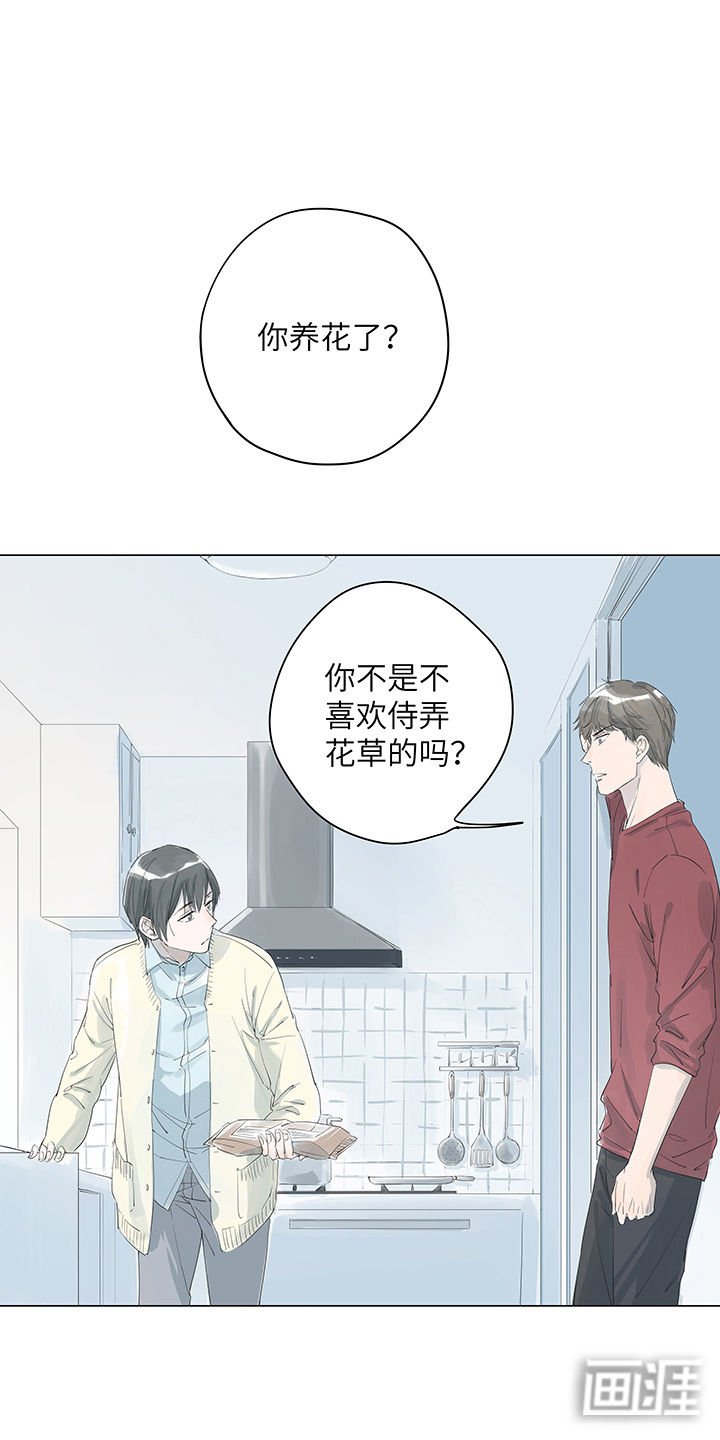 第6章：时间消磨了感情以后