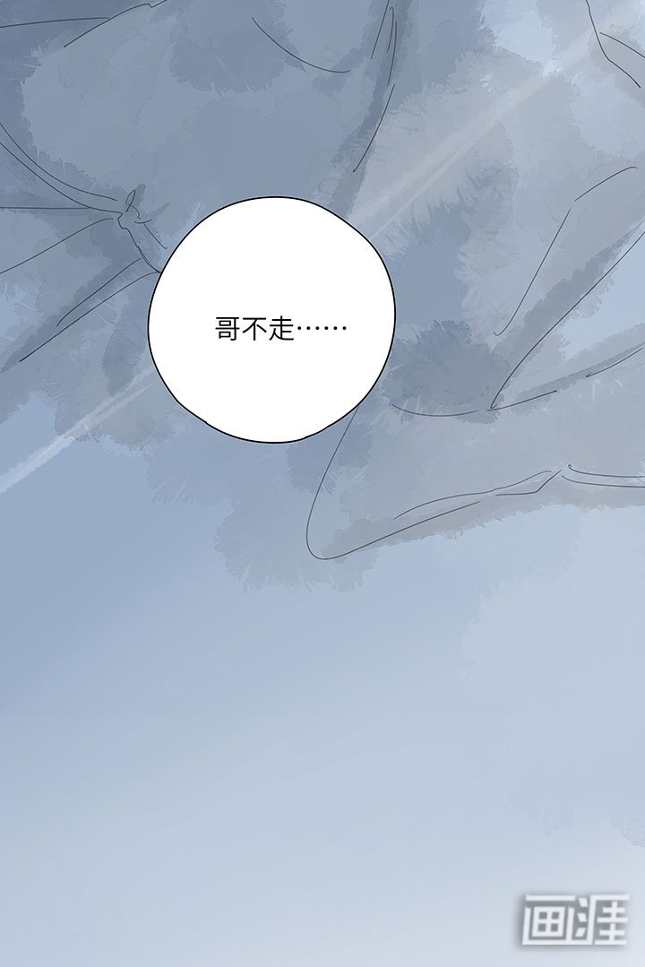 第60章：哥不走