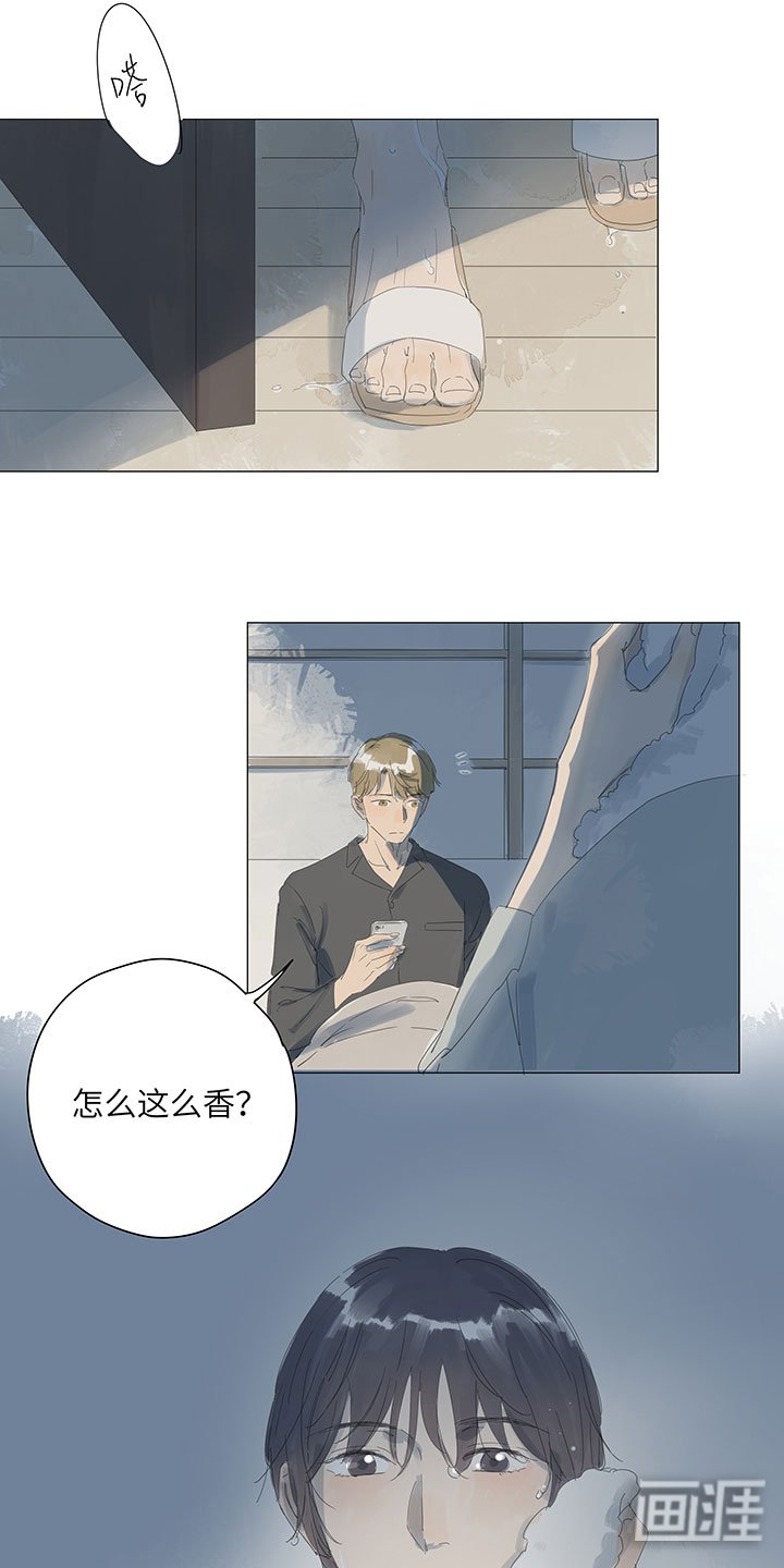 第62章：我爱你