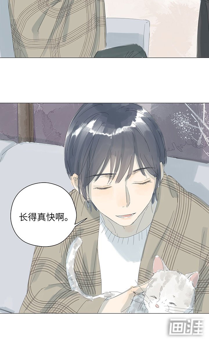 第63章：求婚