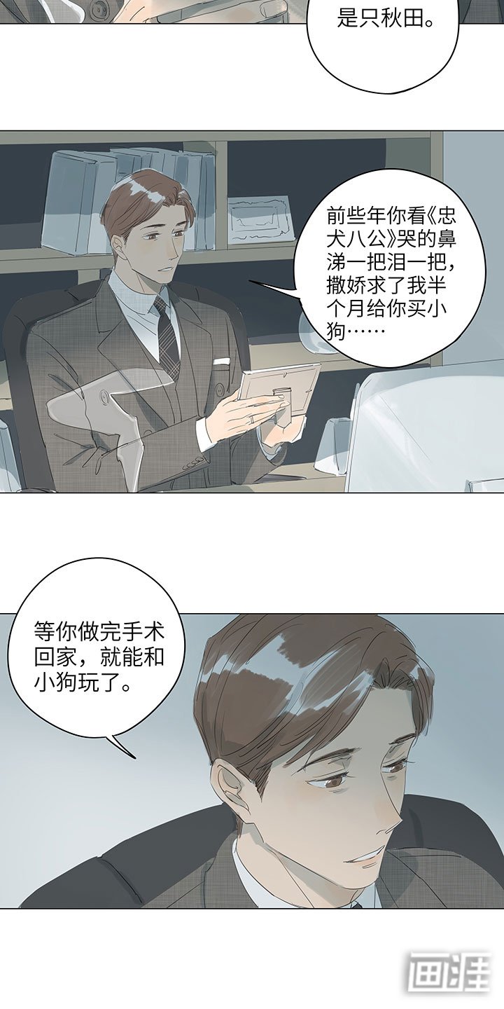 第66章：暴雪