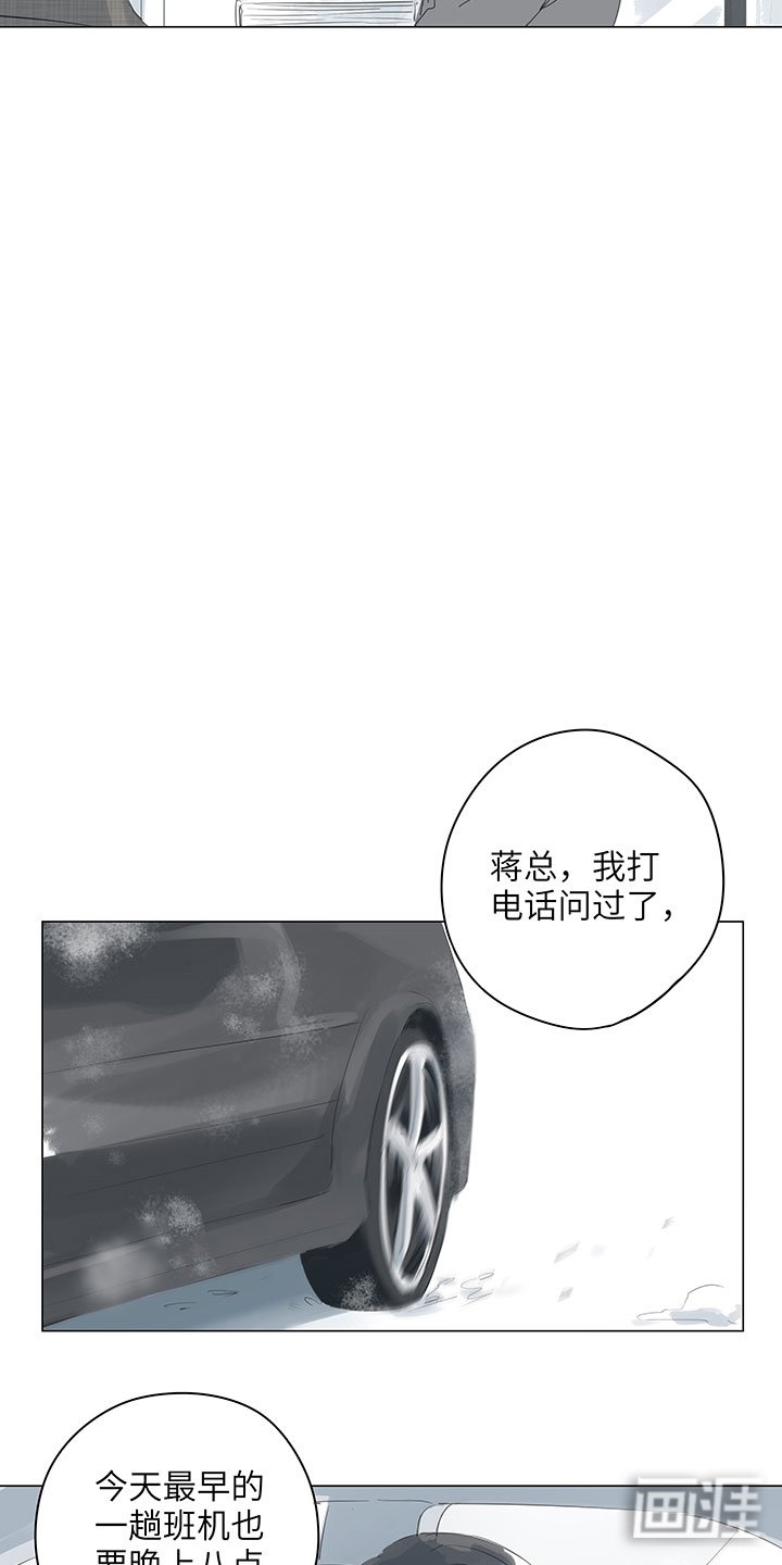 第66章：暴雪