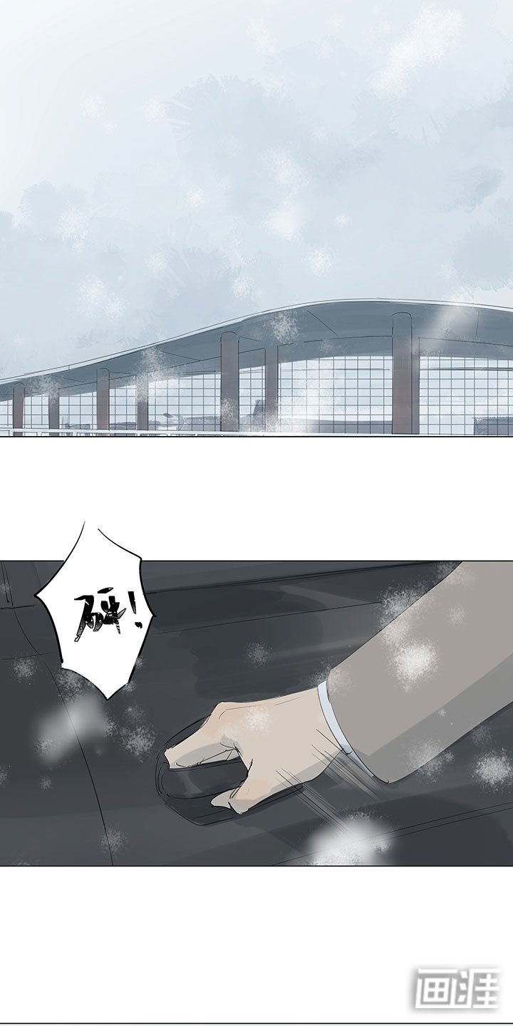 第66章：暴雪