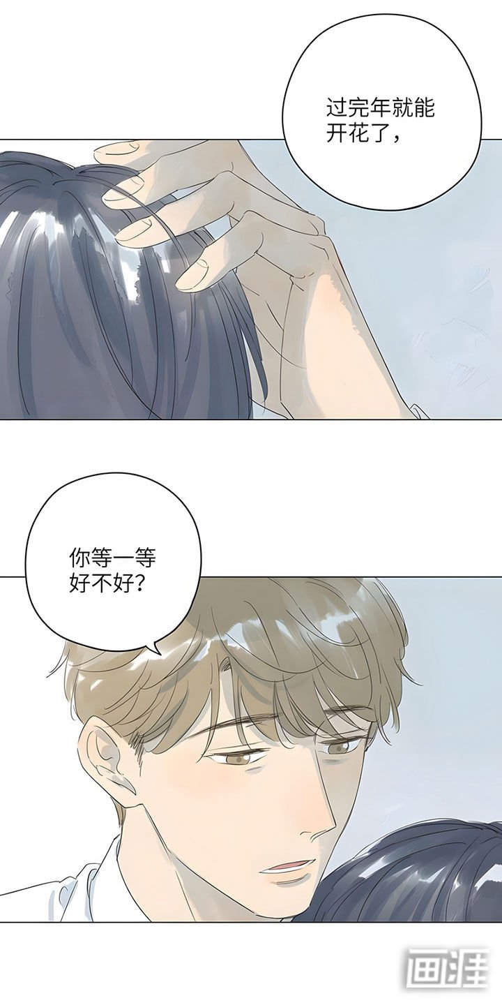 第71章：【番外】艾子瑜