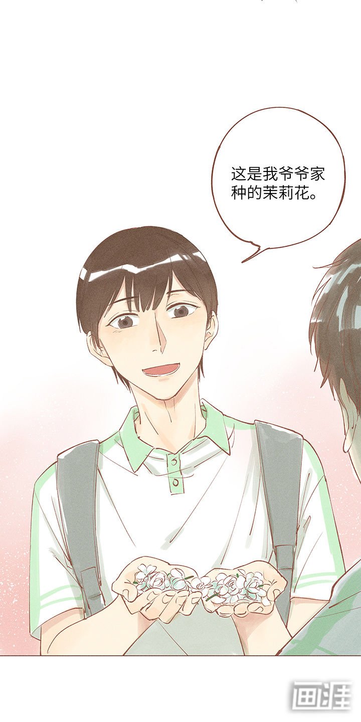 第9章：曾经茉莉为谁香