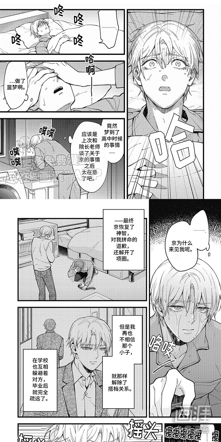 第11章：项圈