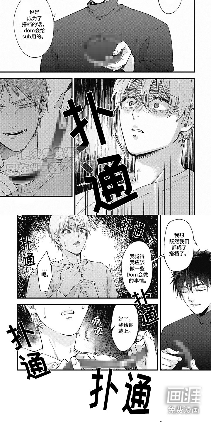 第11章：项圈