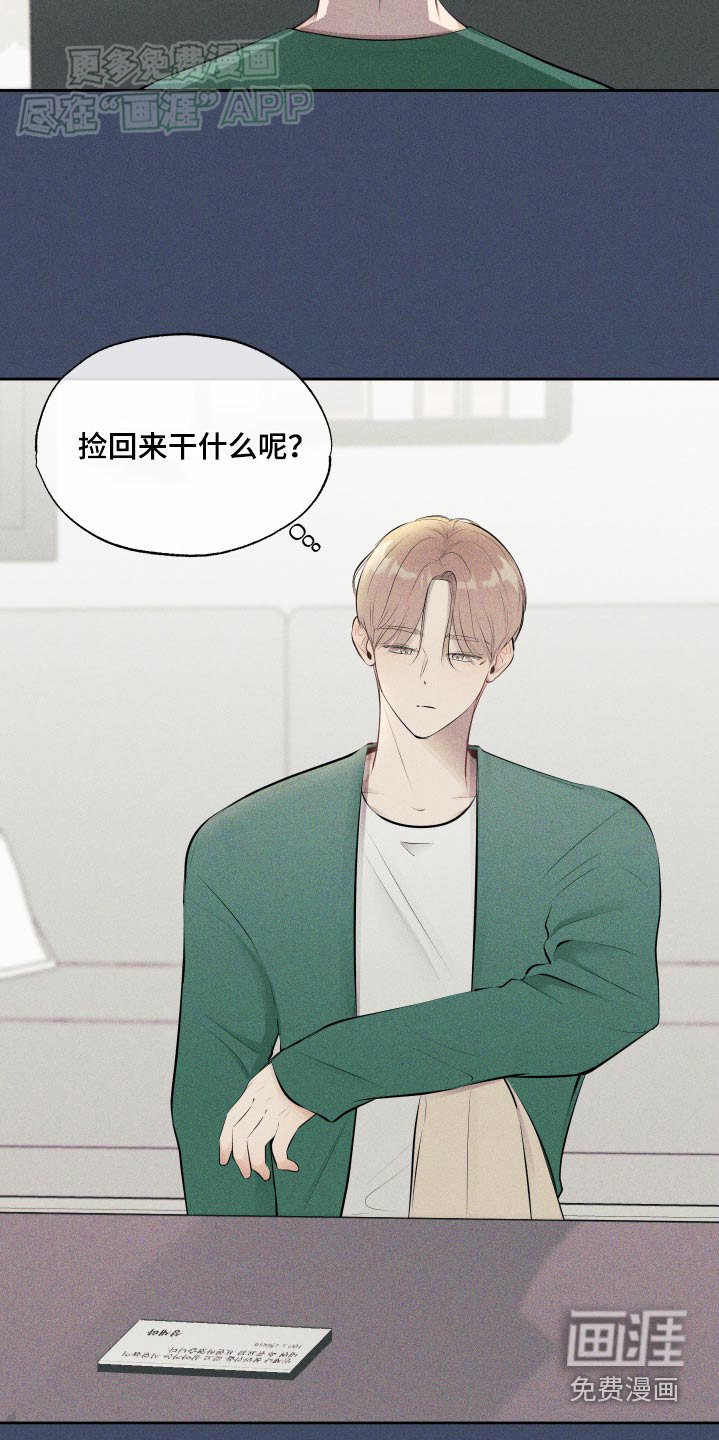第15章：你的粉丝