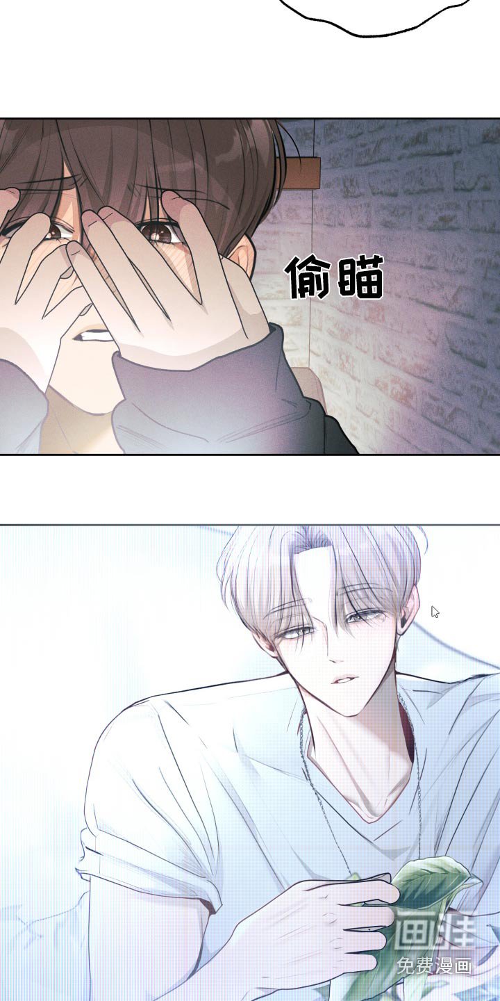 第22章：拍照