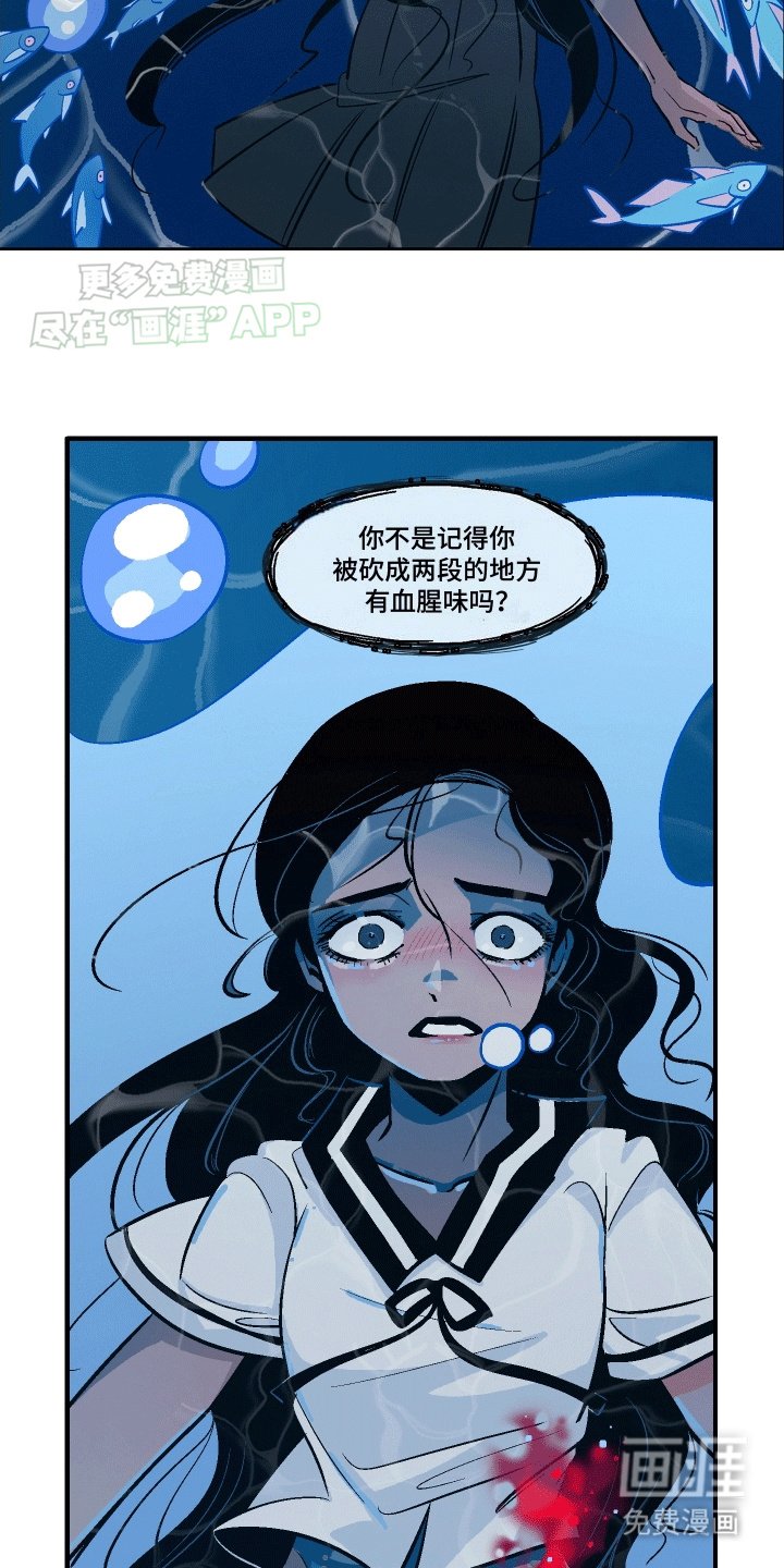 第3章：突然出现的鱼