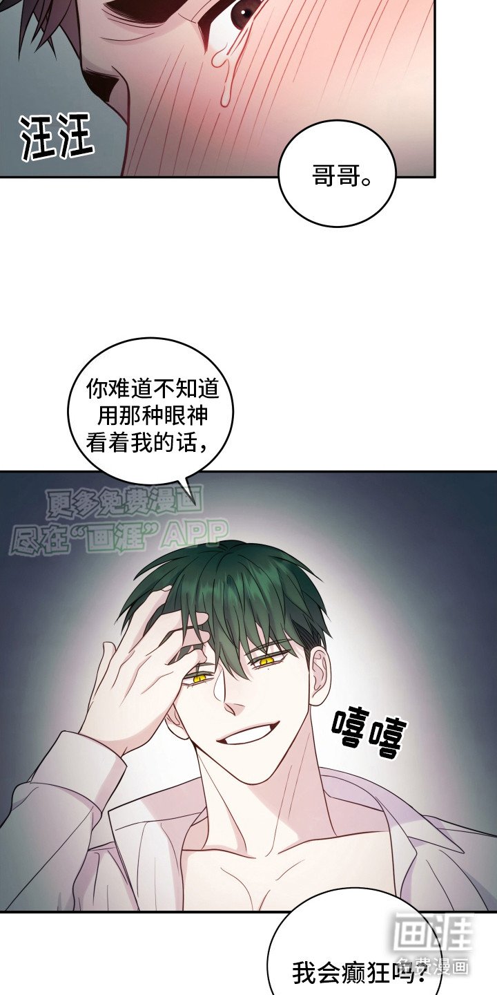 第1章：指令