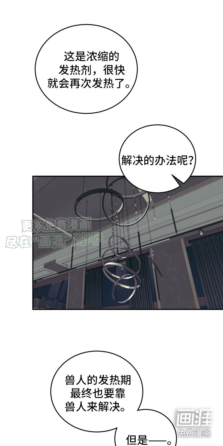 第13章：解决方法