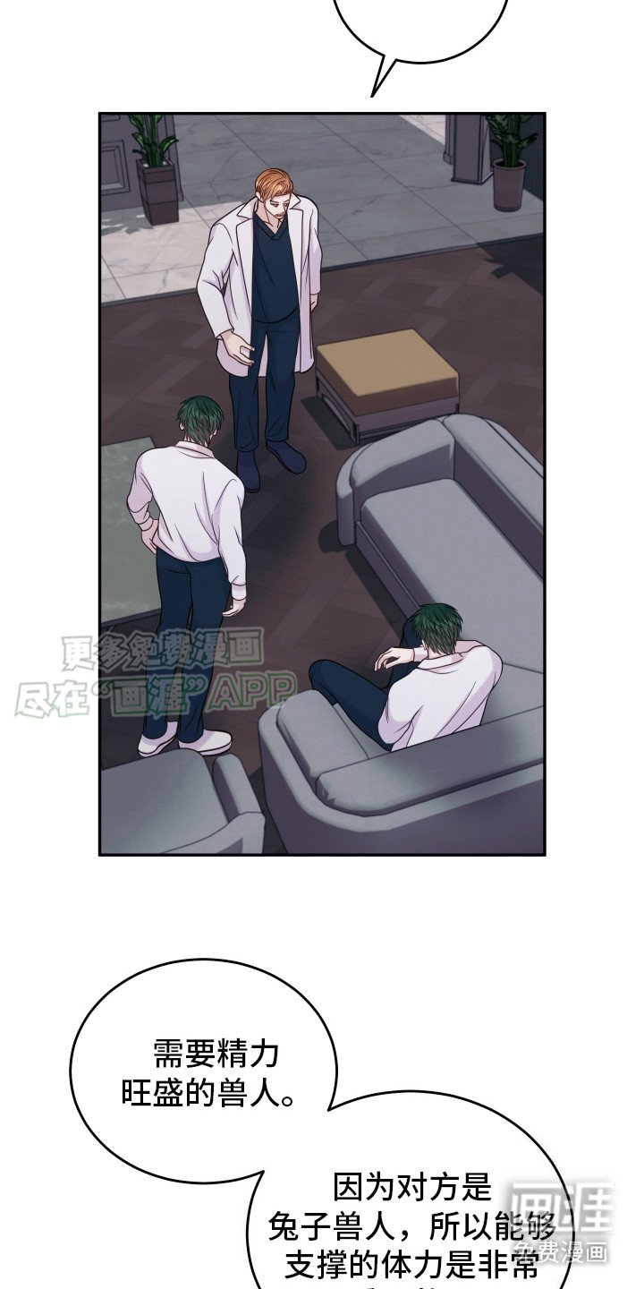 第13章：解决方法