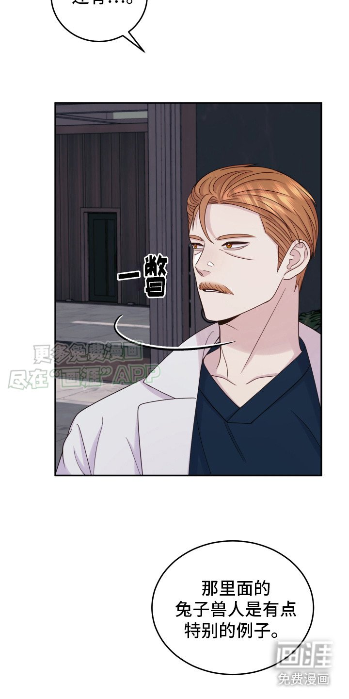 第13章：解决方法