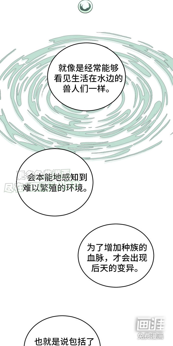 第14章：特例（完结）