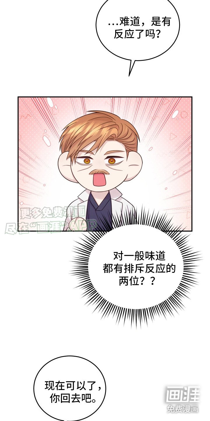 第14章：特例（完结）