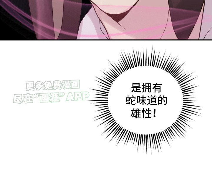 第14章：特例（完结）