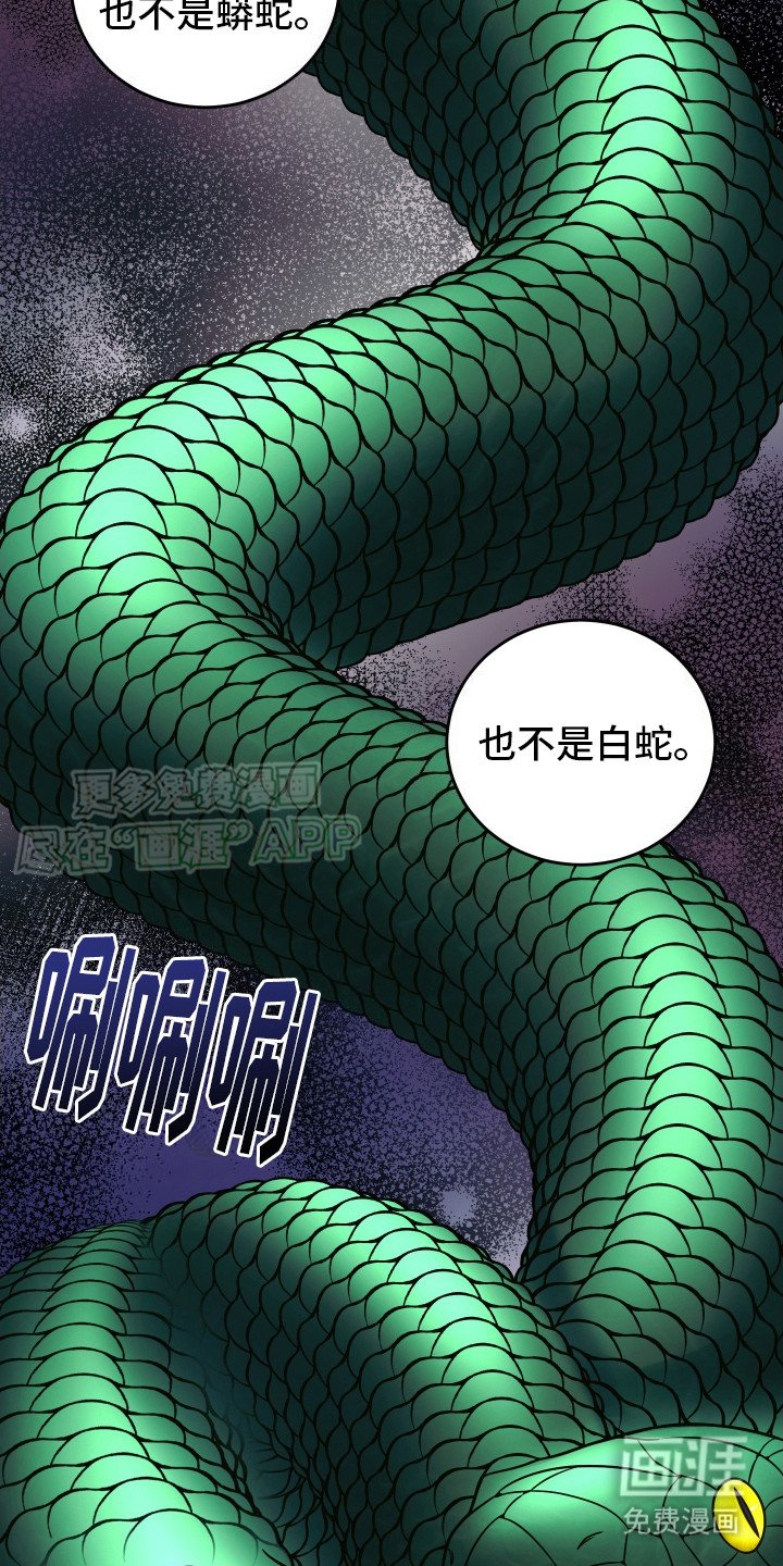 第2章：双头蛇