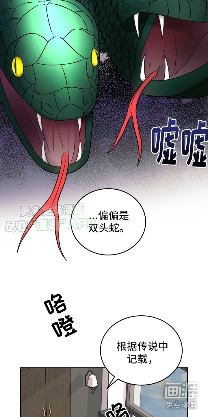 第2章：双头蛇
