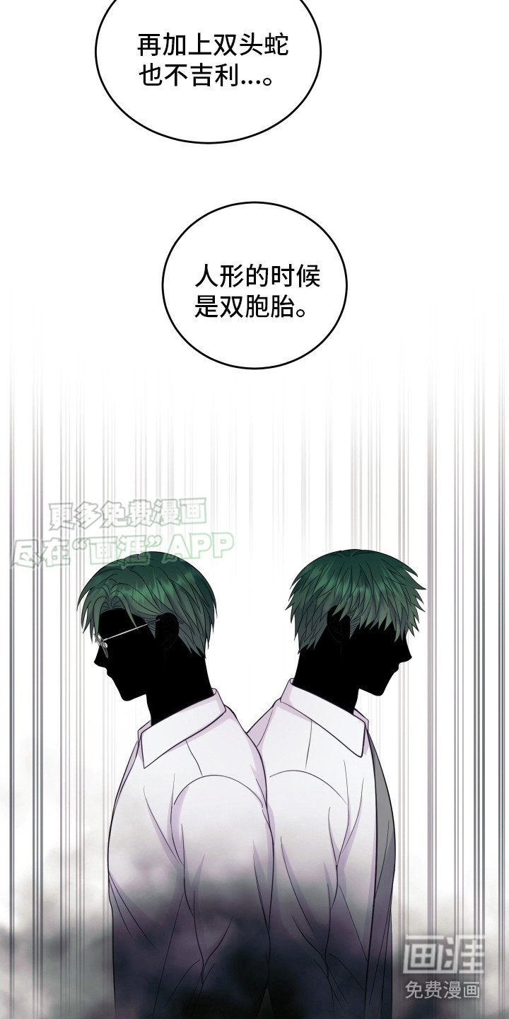 第2章：双头蛇
