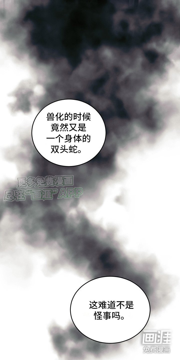 第2章：双头蛇
