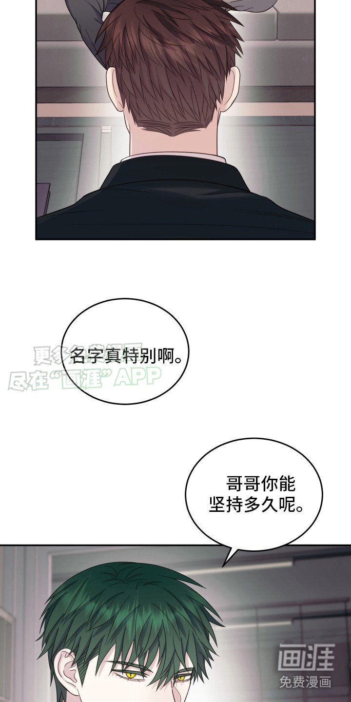 第2章：双头蛇