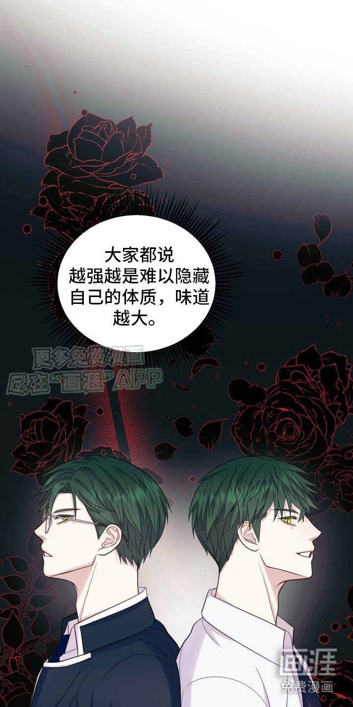第6章：兔子