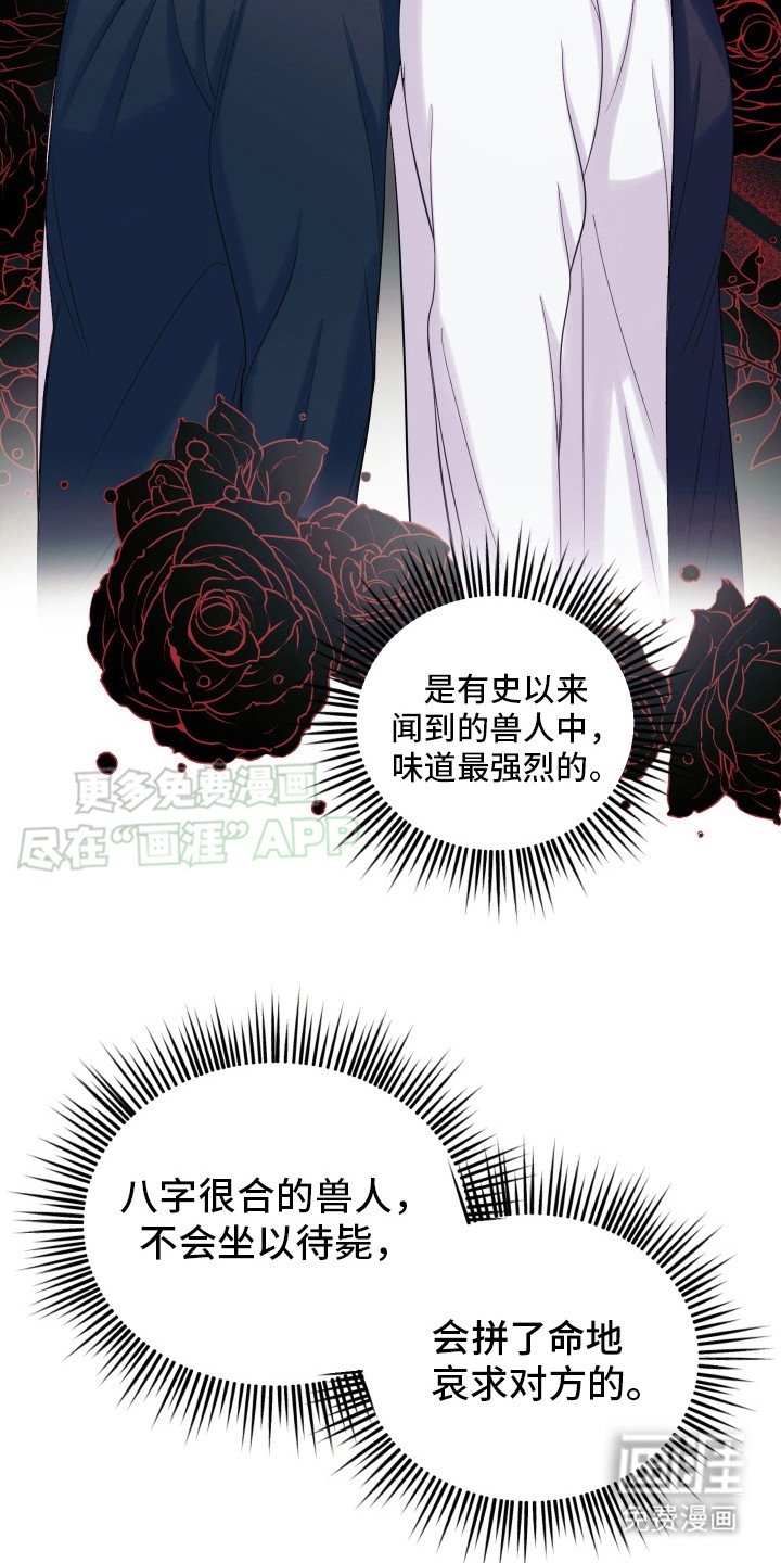 第6章：兔子