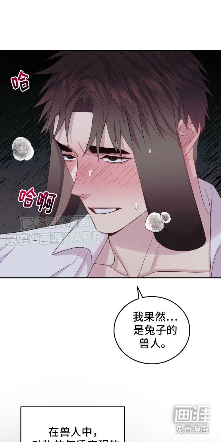 第6章：兔子
