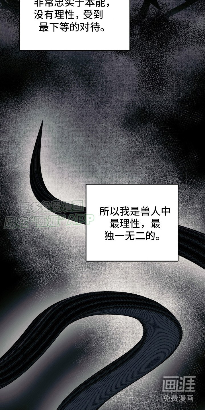 第6章：兔子