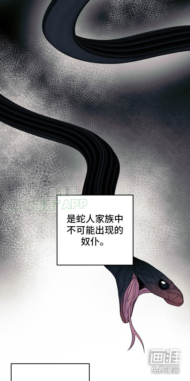 第6章：兔子