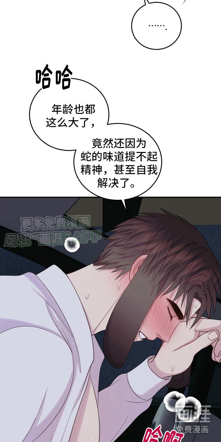第6章：兔子