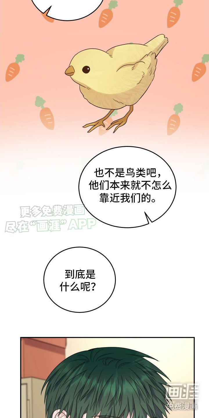 第9章： 猜测