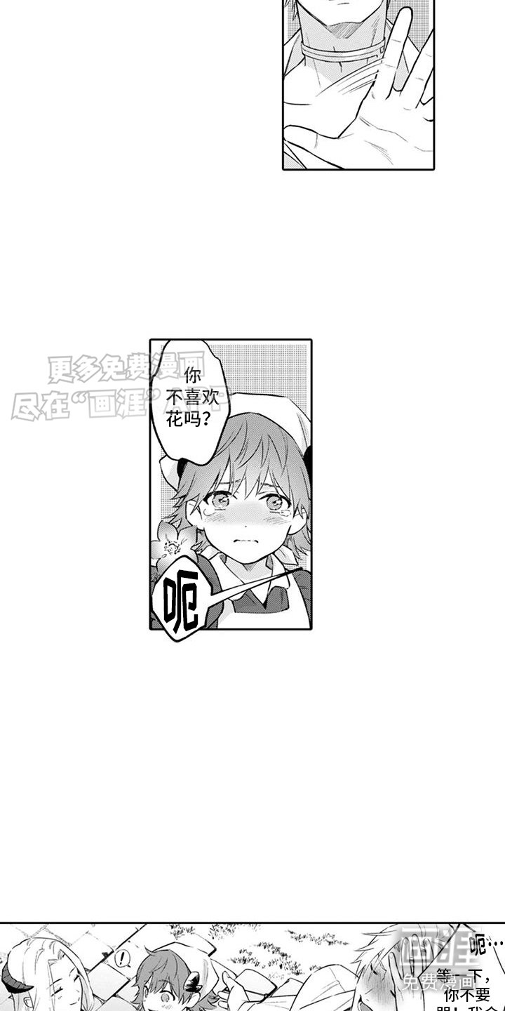 第9章：鲜花