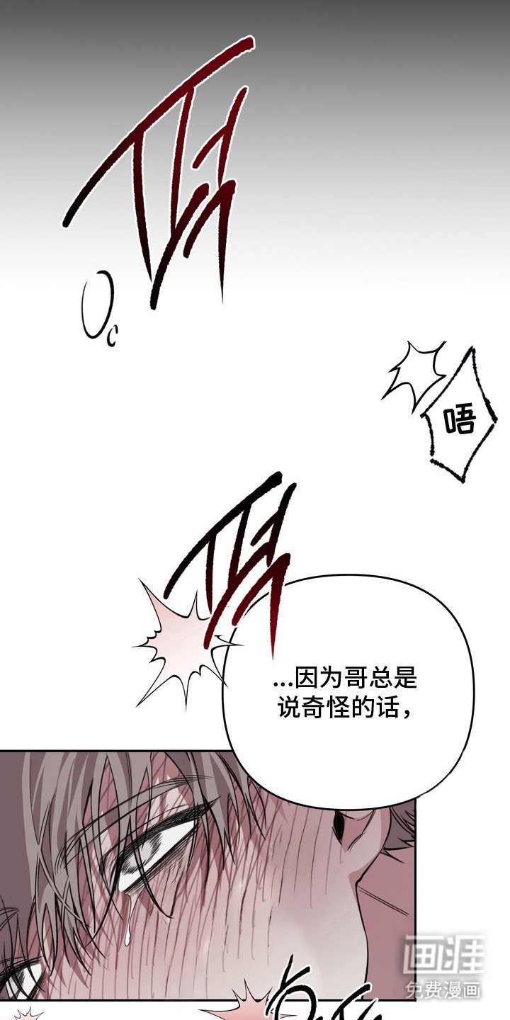 第10章：太喜欢了