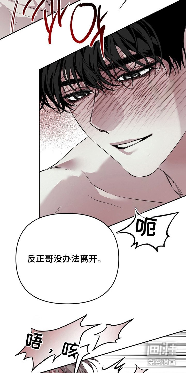 第10章：太喜欢了