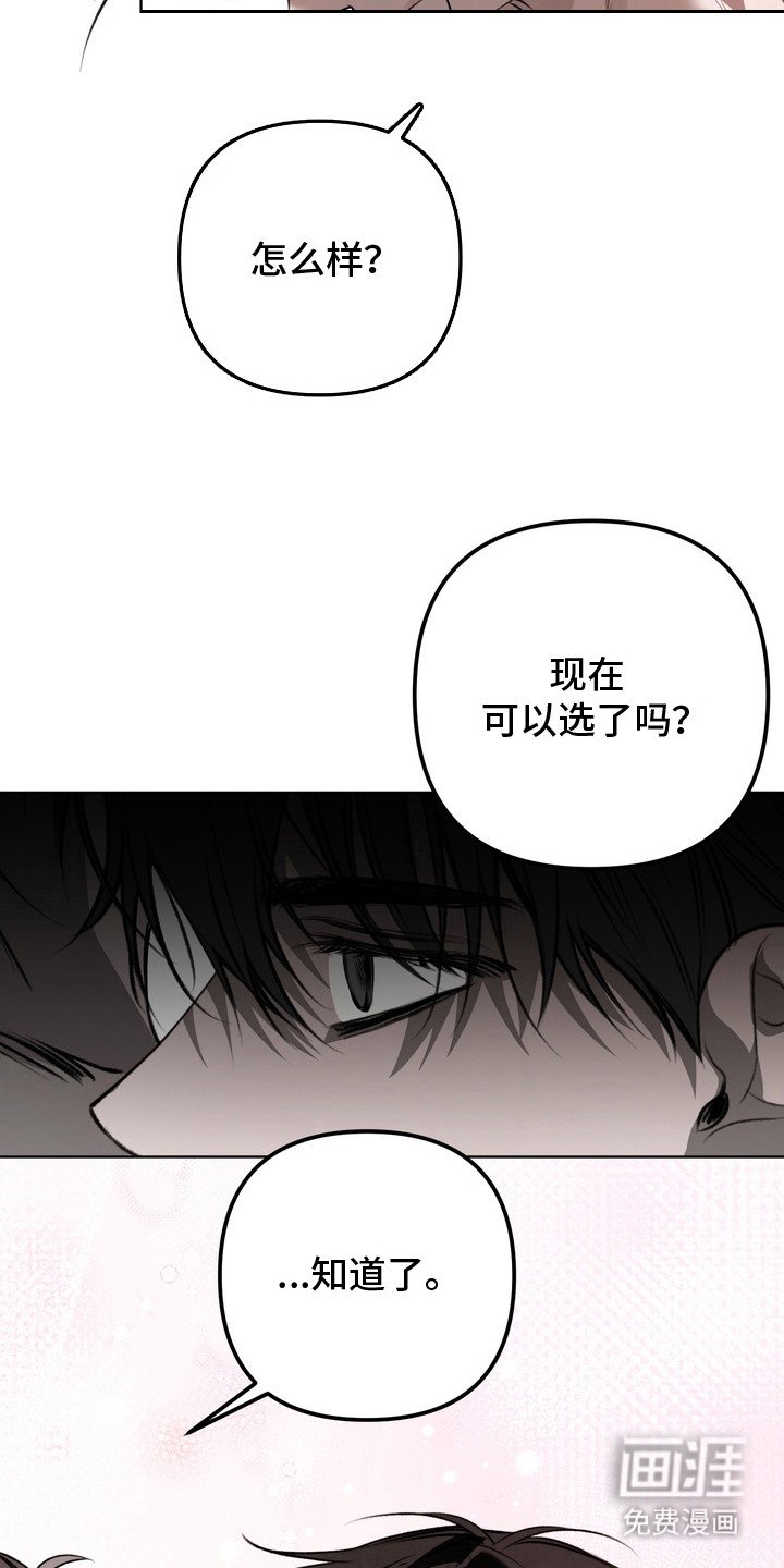 第18章：做出选择