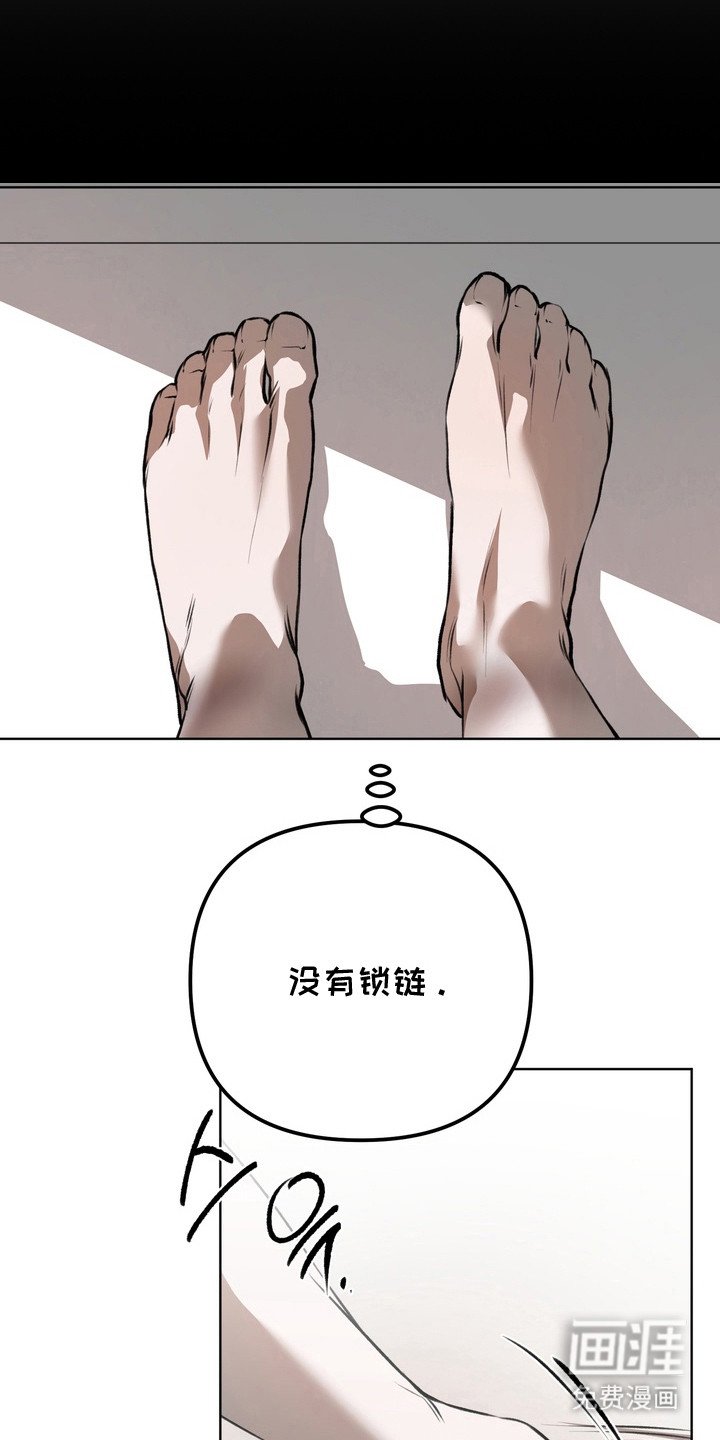 第18章：做出选择