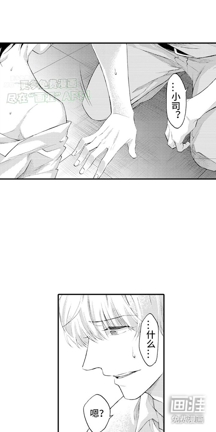 第20章：坦诚