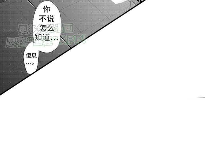 第20章：坦诚