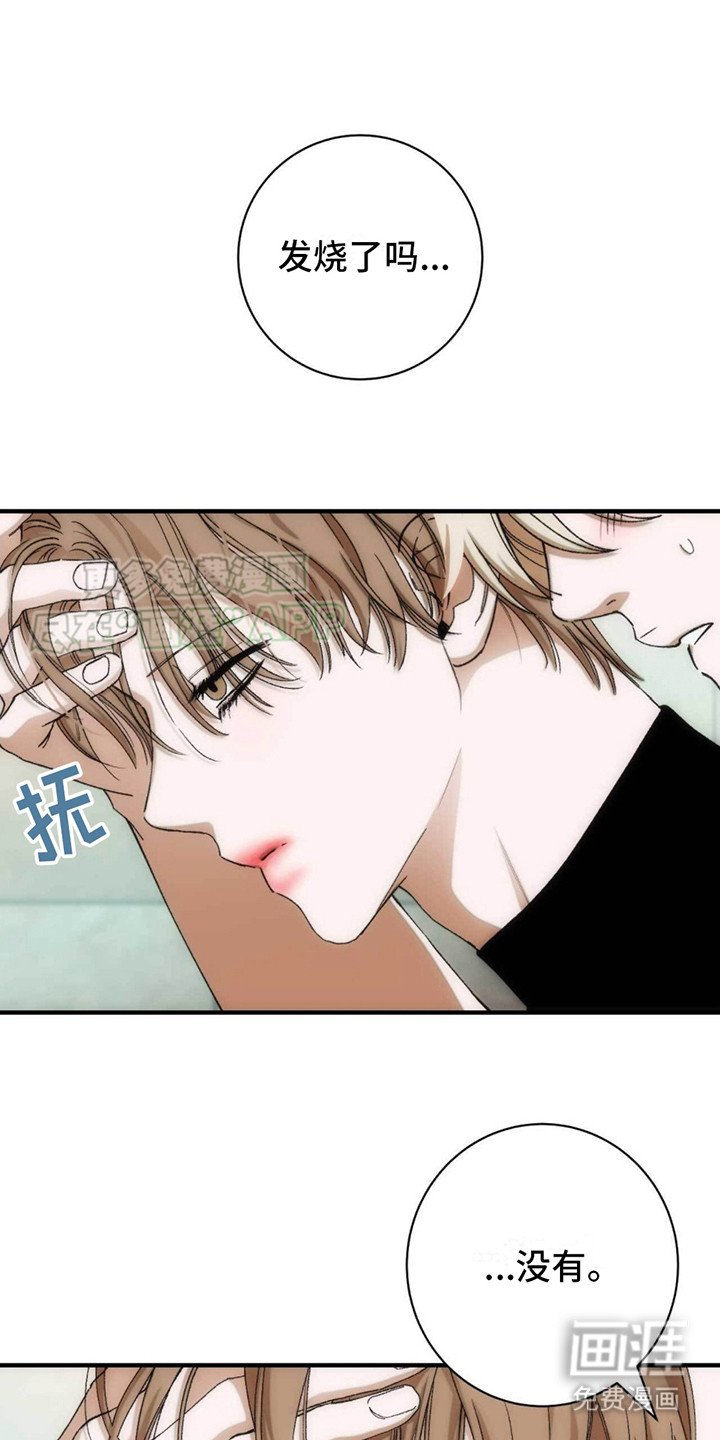 第16章：前辈