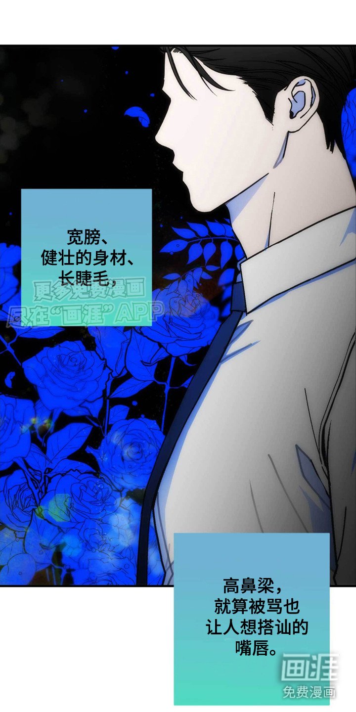 第2章：有话直说
