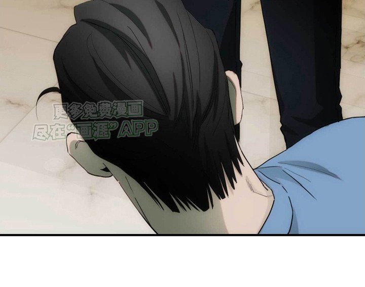 第24章：故意的