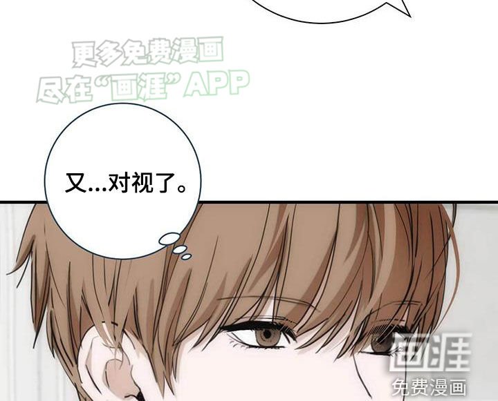 第31章：奇妙的缘分