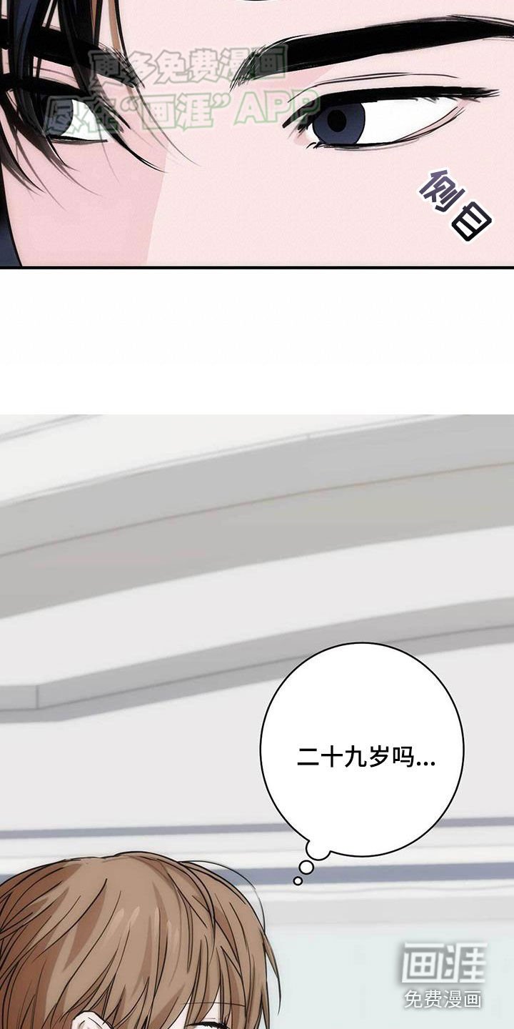 第31章：奇妙的缘分